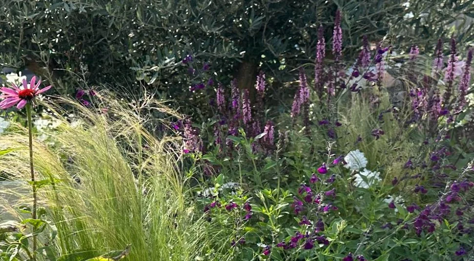 Ibiza Inspired Front Garden detail 3