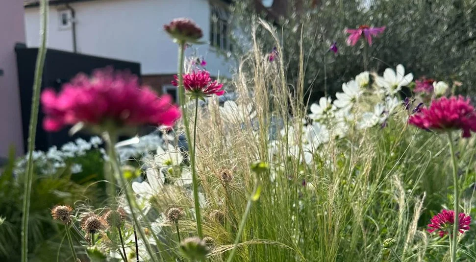 Ibiza Inspired Front Garden detail 4