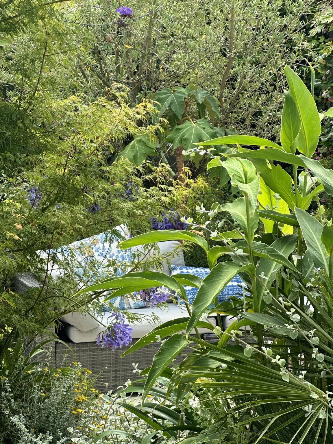 Layered foliage and flowering plants in the Mediterranean garden